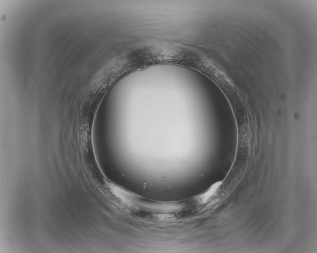 X0000067870509200604171227