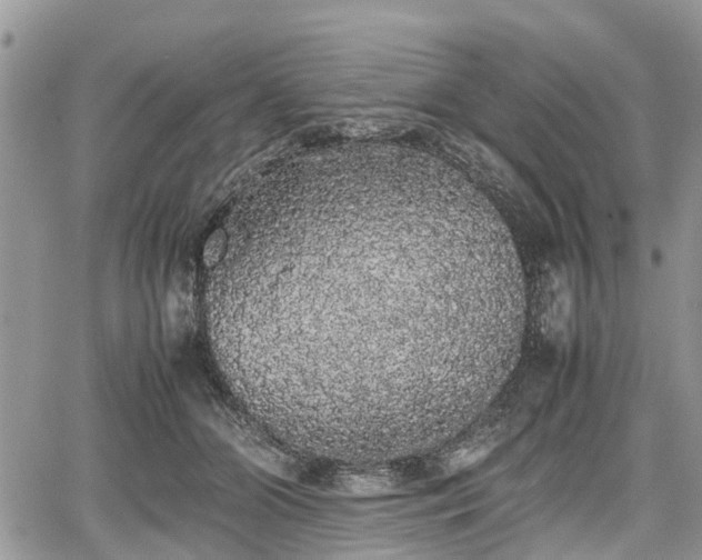 X0000067870510200604171227