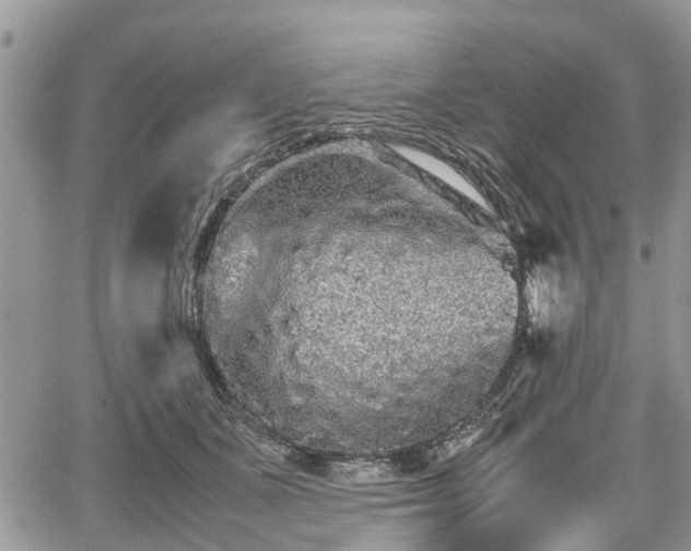 X0000067870511200604171227