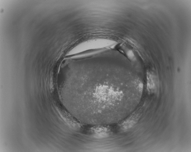 X0000067870512200604171227