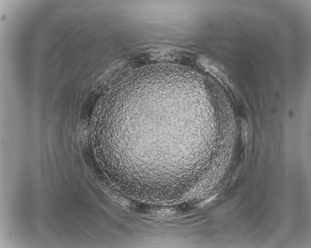 X0000067870513200604171227