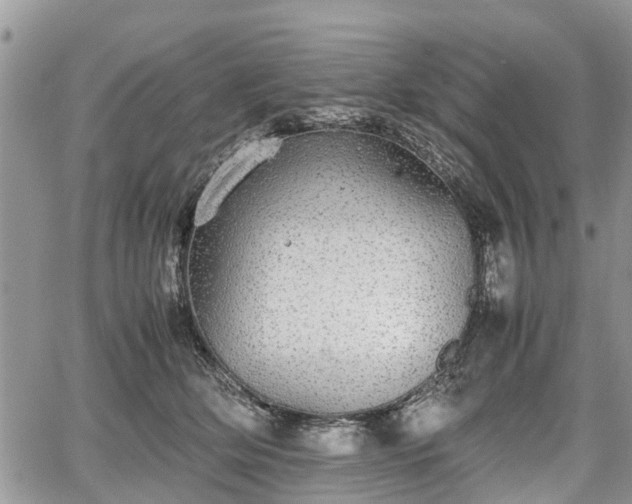 X0000067870514200604171227