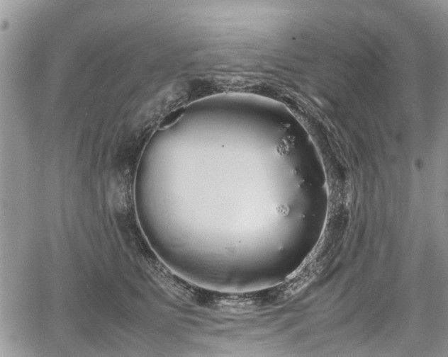 X0000067870515200604171227