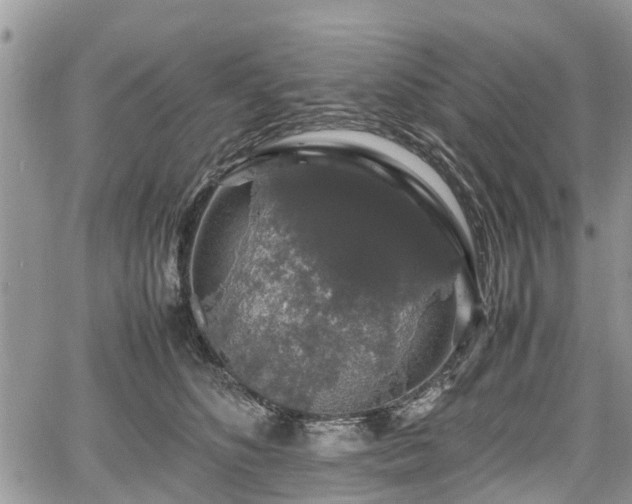 X0000067870516200604171227