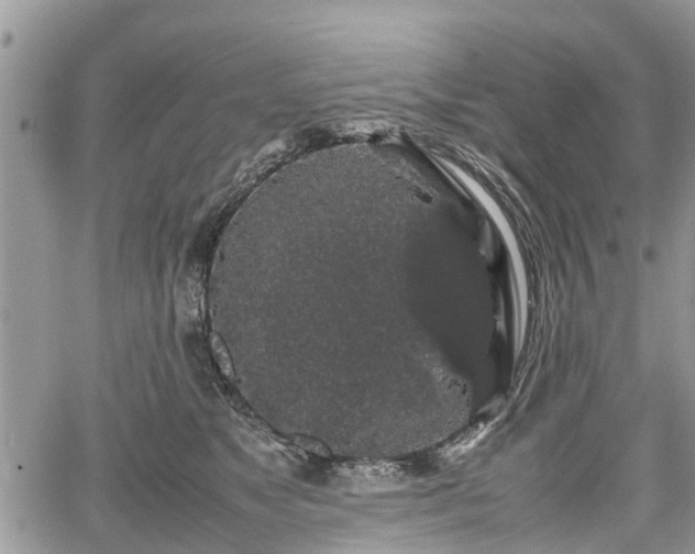 X0000067870517200604171227