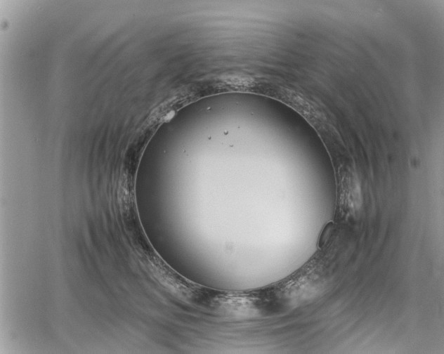 X0000067870518200604171227