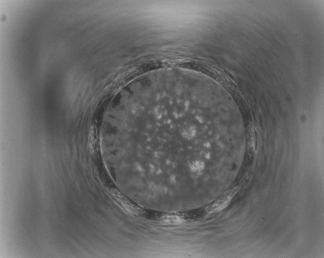 X0000067870519200604171227