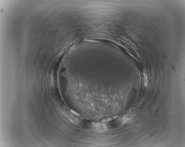 X0000067870520200604171227