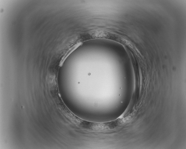 X0000067870521200604171227