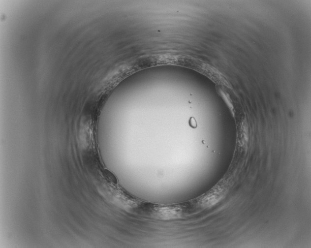 X0000067870522200604171227