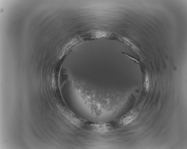 X0000067870524200604171227