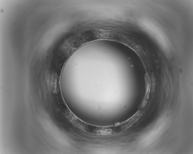 X0000067870525200604171227