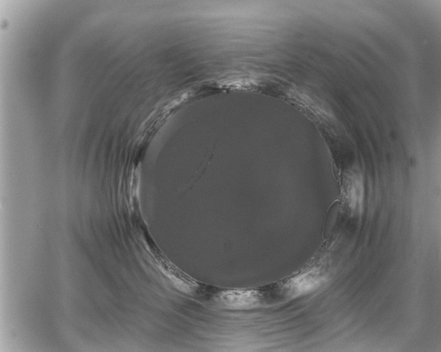 X0000067870526200604171227