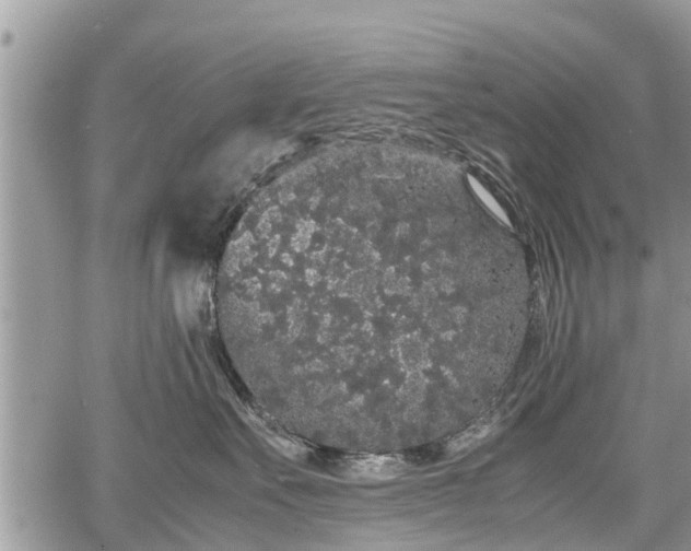 X0000067870527200604171227