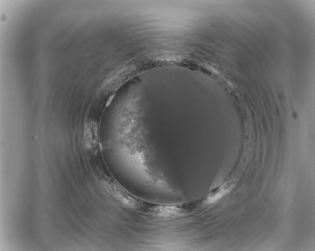 X0000067870528200604171227