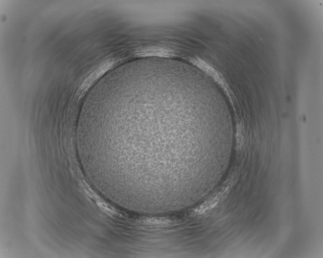 X0000067870529200604171226