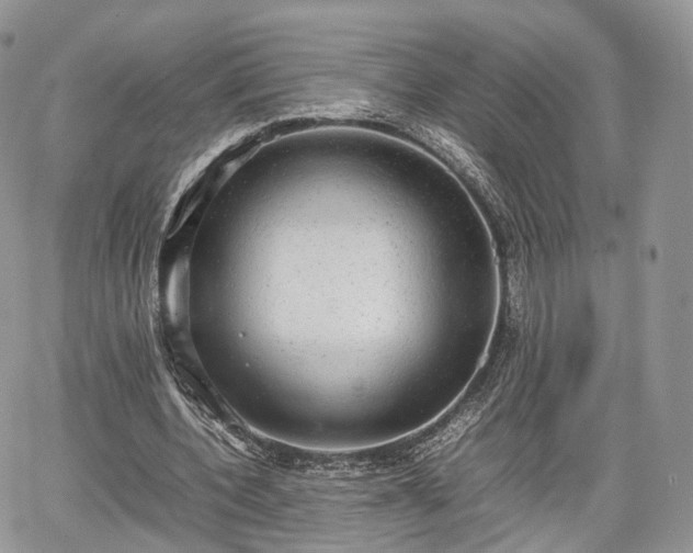 X0000067870532200604171226