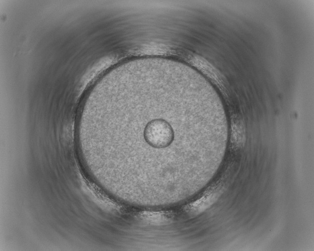 X0000067870534200604171226