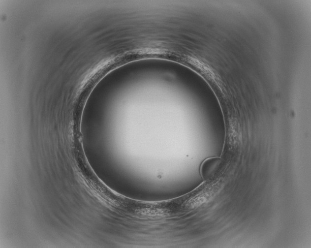 X0000067870535200604171226