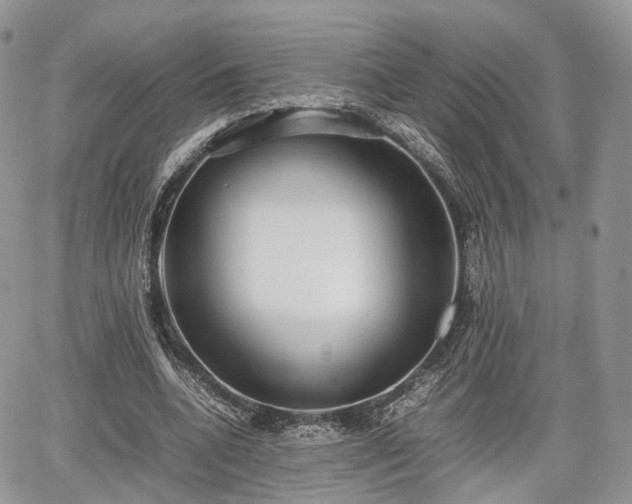 X0000067870536200604171226