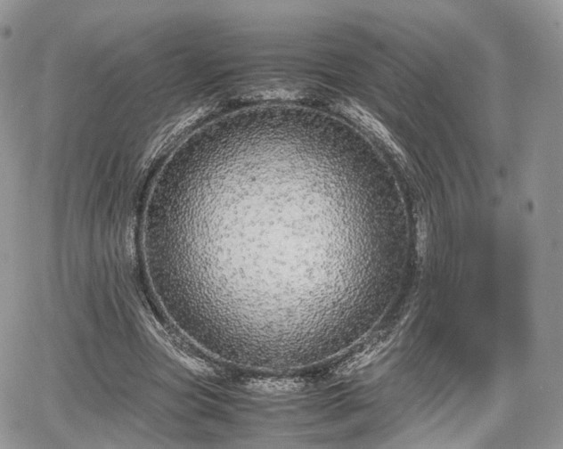 X0000067870537200604171226