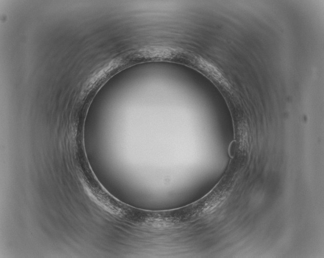 X0000067870538200604171226