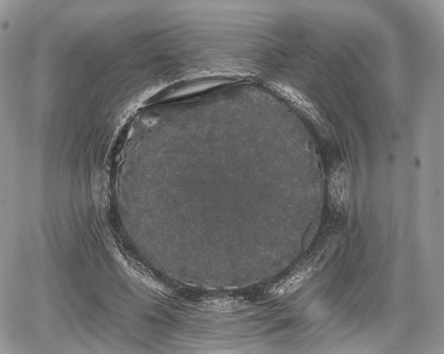 X0000067870540200604171226