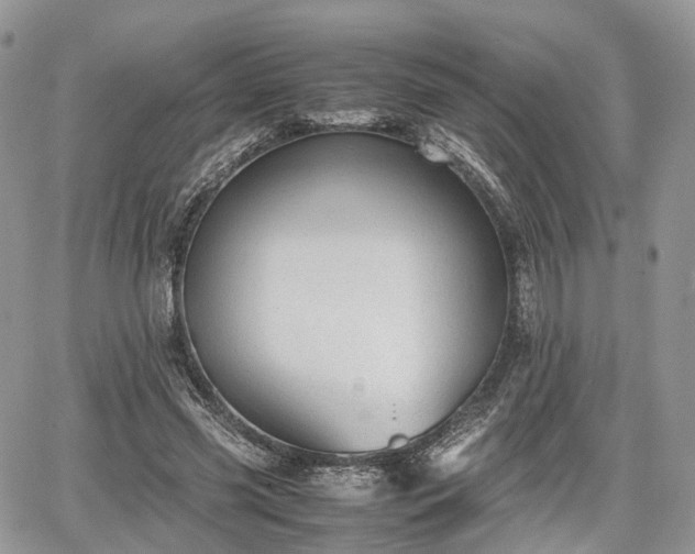 X0000067870541200604171226