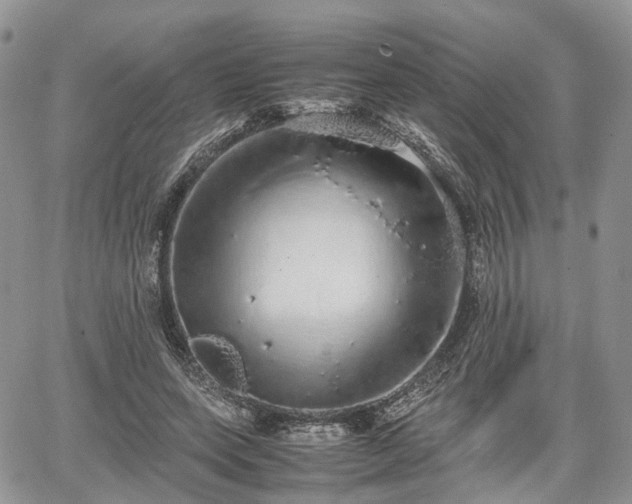 X0000067870543200604171227