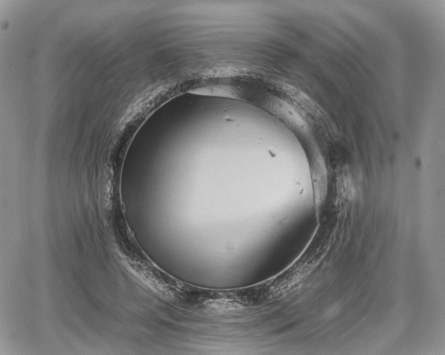 X0000067870544200604171227