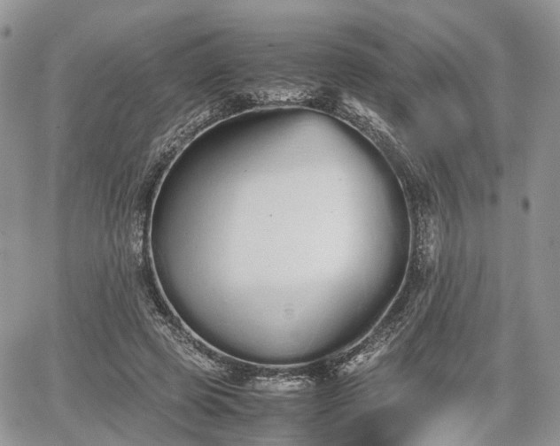 X0000067870545200604171227