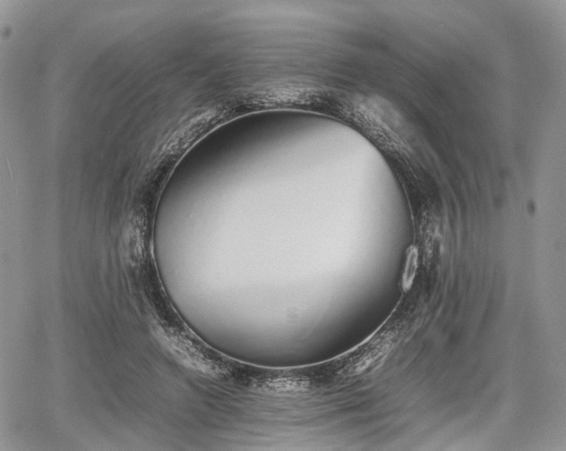 X0000067870546200604171227