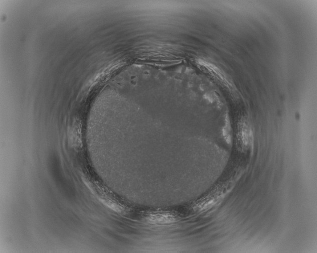 X0000067870547200604171227