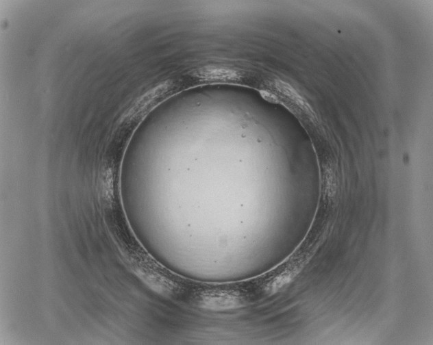 X0000067870549200604171227