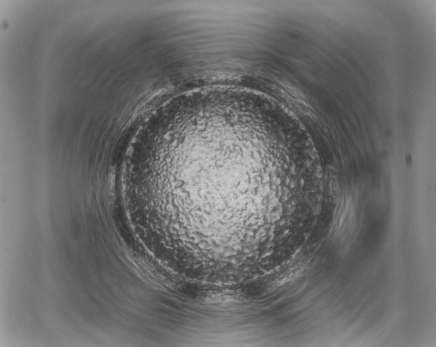 X0000067870550200604171227