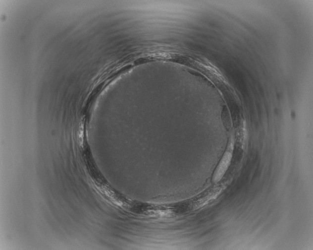 X0000067870552200604171227