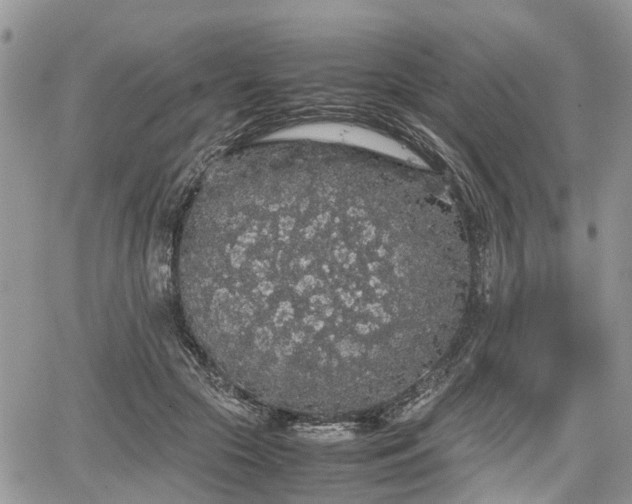 X0000067870553200604171227