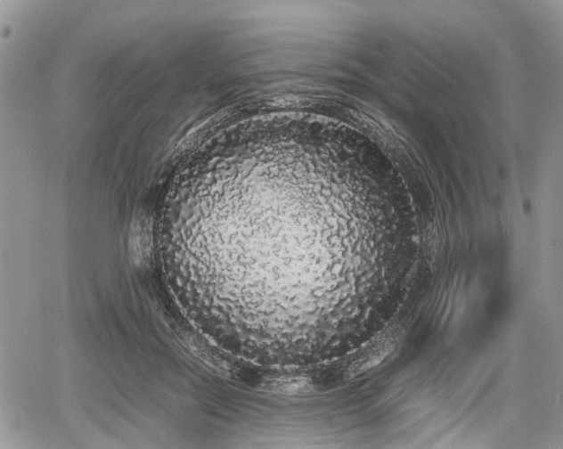 X0000067870554200604171227