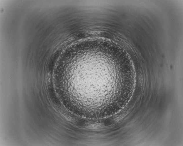 X0000067870555200604171227