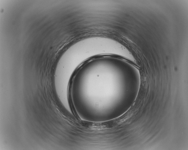 X0000067870556200604171227