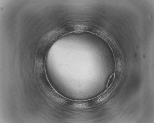 X0000067870557200604171227