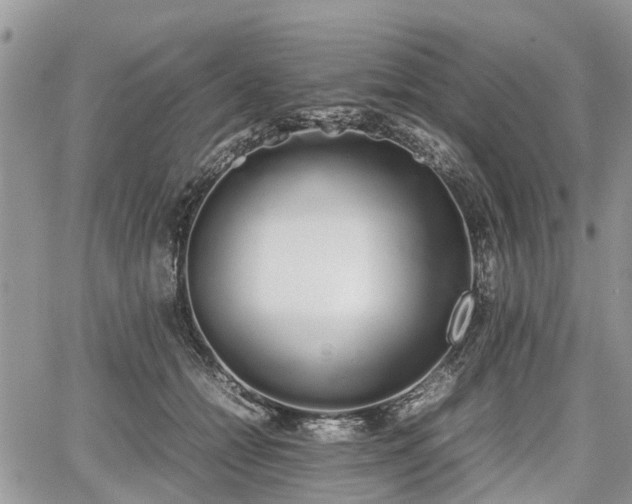 X0000067870558200604171227