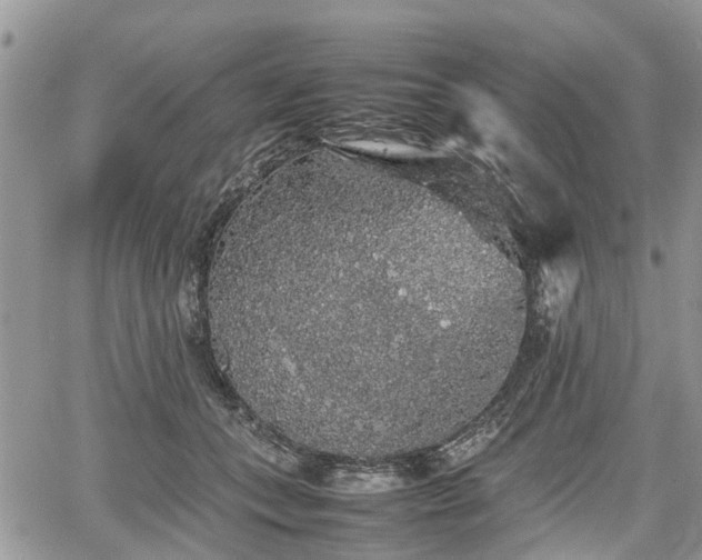 X0000067870559200604171227