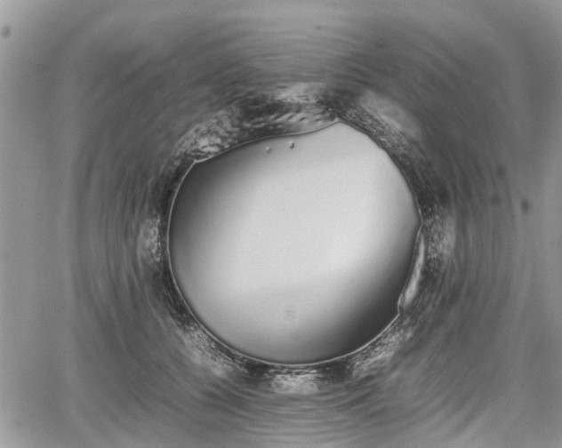 X0000067870560200604171227