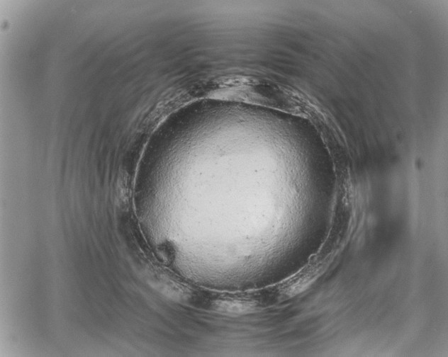 X0000067870561200604171227