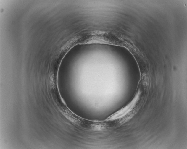 X0000067870564200604171227