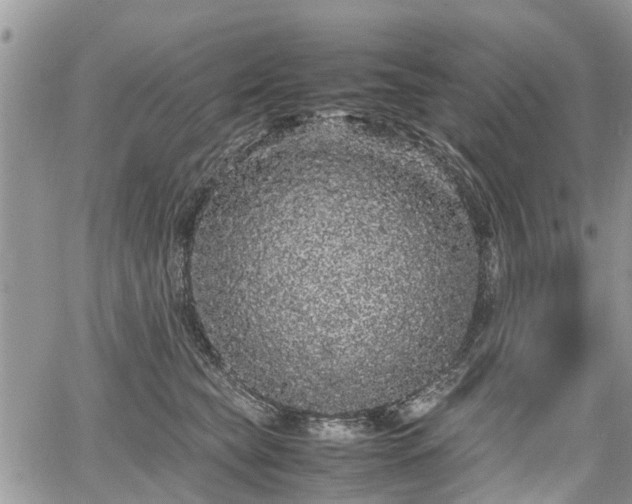 X0000067870565200604171227