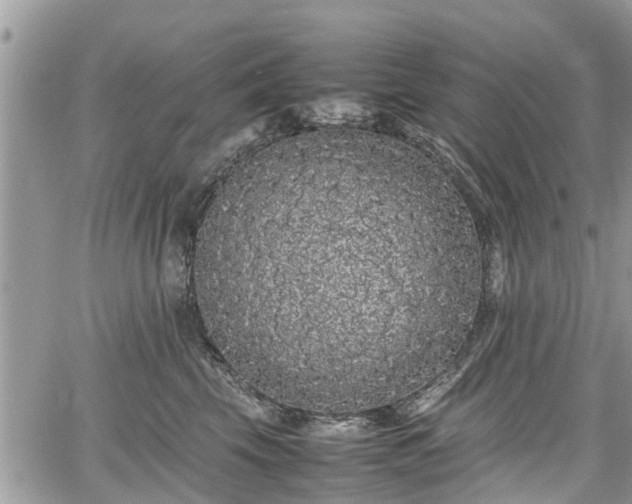 X0000067870569200604171227