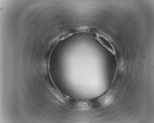 X0000067870572200604171227