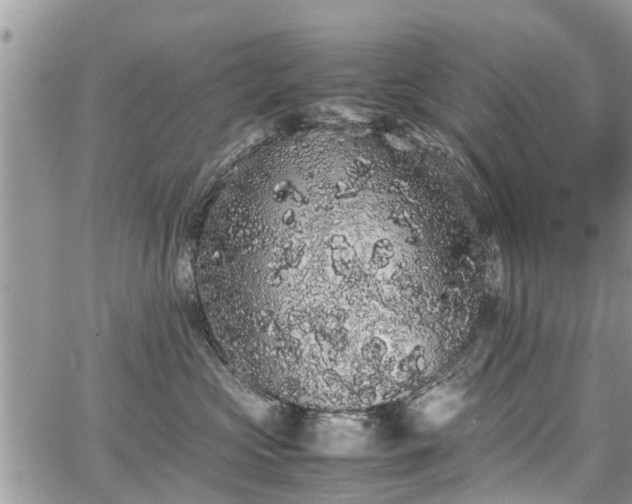 X0000067870573200604171227